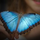 Thema 2 Reflex 82 Meckesheim 02 Sigmund Harry